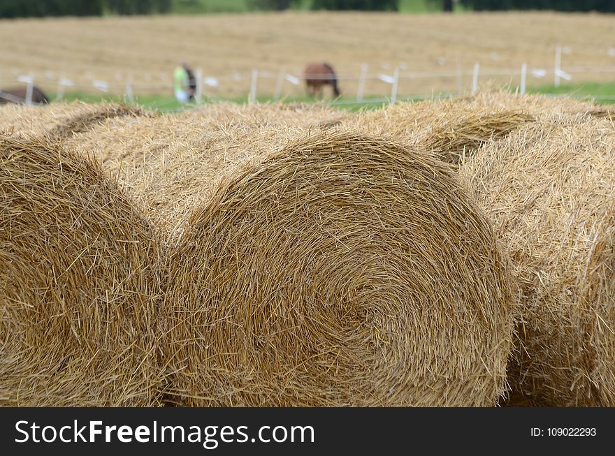 Hay, Straw, Field, Agriculture