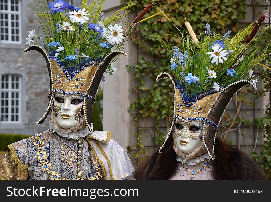 Masque, Carnival, Headgear, Plant