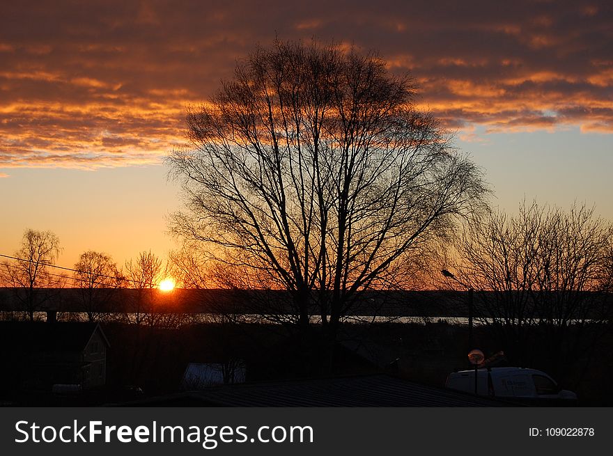 Sky, Sunset, Dawn, Tree