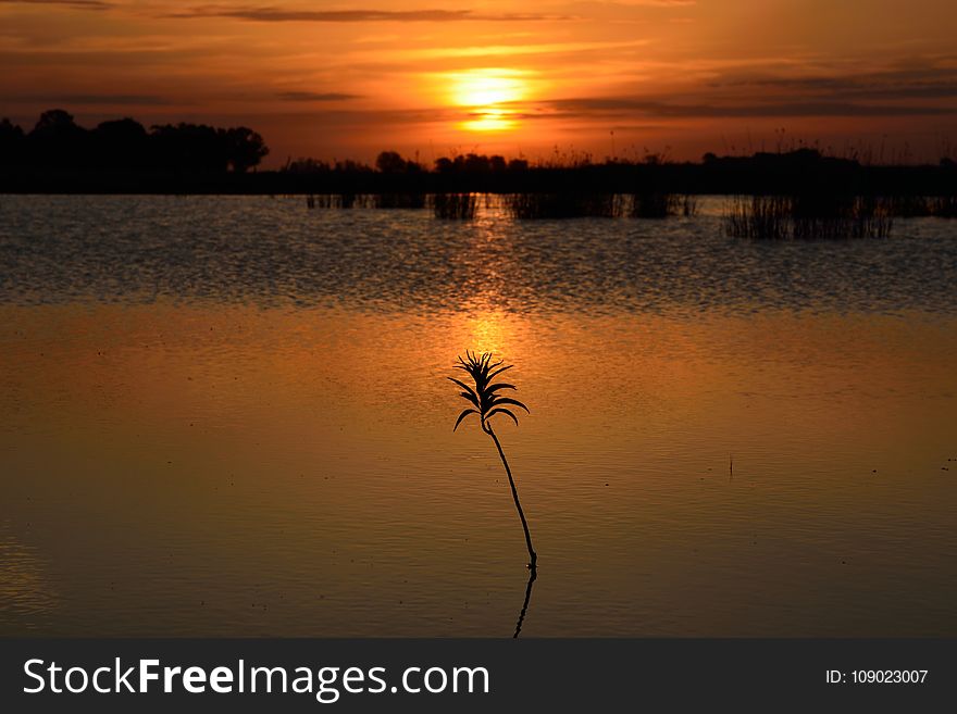 Reflection, Sunset, Sky, Sunrise