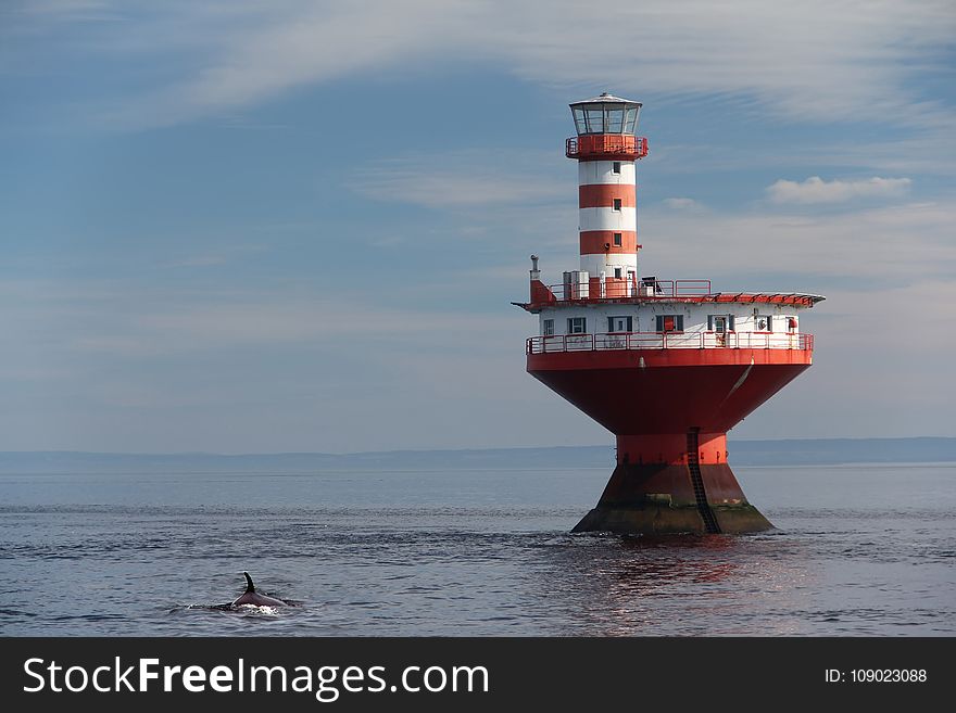 Lighthouse, Tower, Beacon, Sea