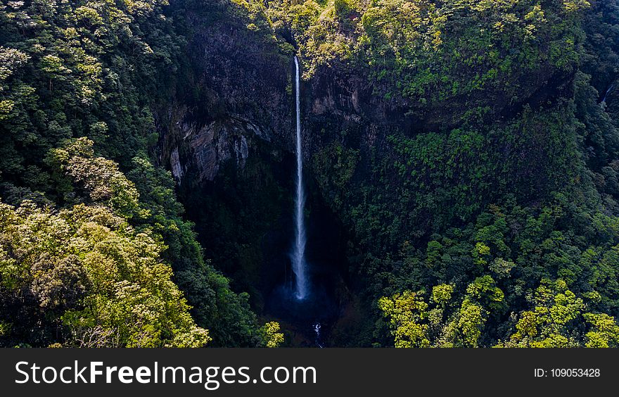 Waterfall Surrounded by Green Leaf Trees at Daytime