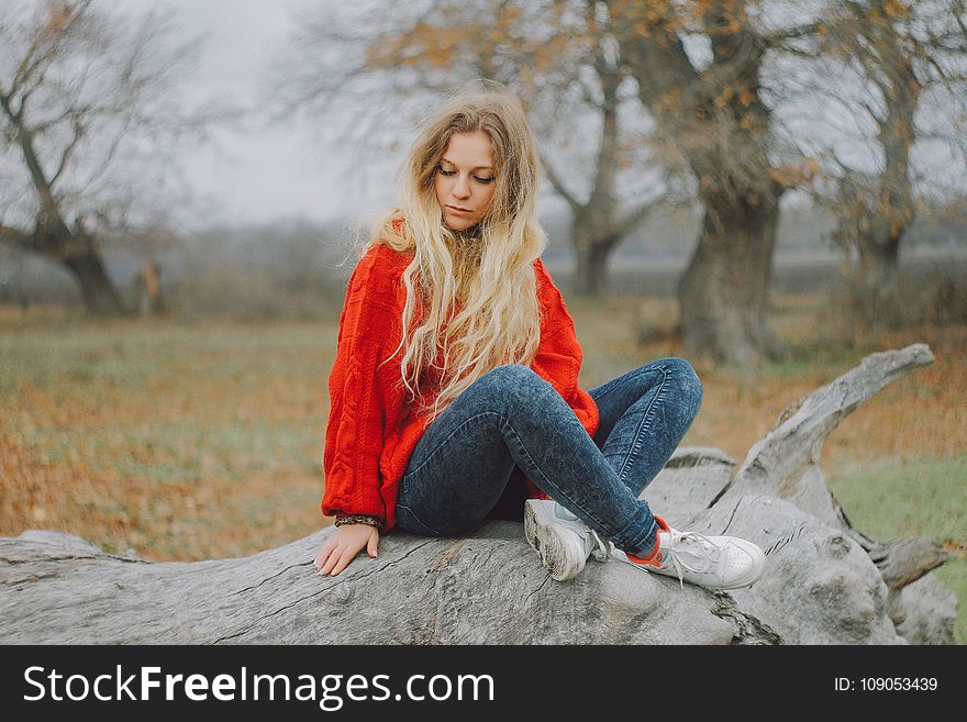 Woman in Red Sweater Sitting on Cutted Tree