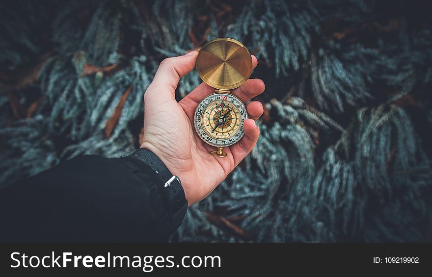 Person Holding Compass