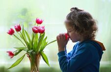 Little Girl With Bouquet Of Tulip Flowers. Royalty Free Stock Photo
