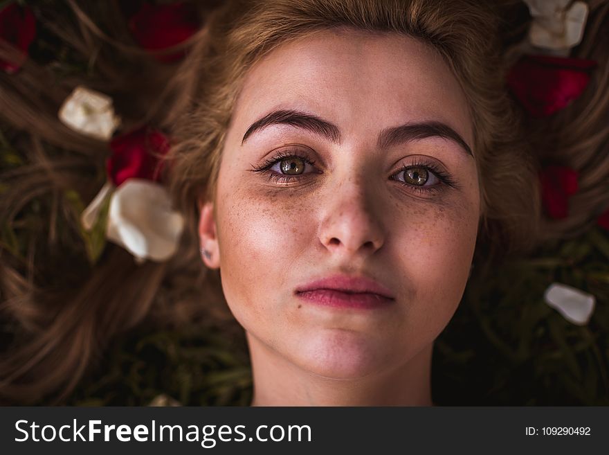 Woman in Red Lipstick Photo