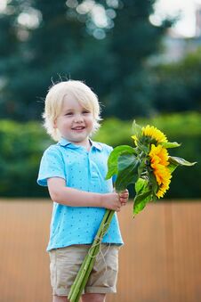 Little Boy With Bunch Of Sunflowers Outdoors Stock Images