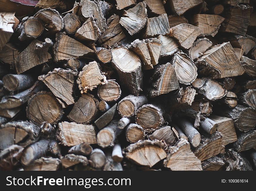 Pile of Chopped Logs