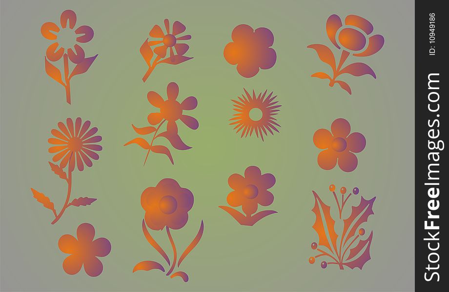 Vector graphic set with flowers illsutration