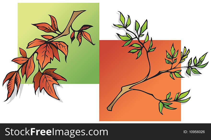 Summer and Autumn leaves, two seasons, green and red, vector illustration