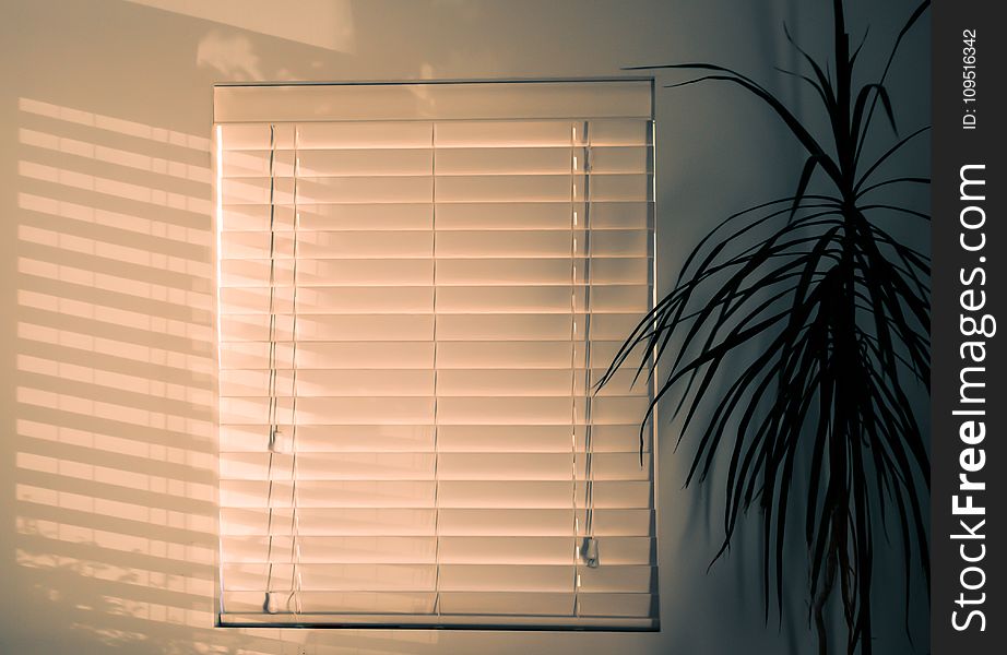 Photo of Window Blinds Near Plant