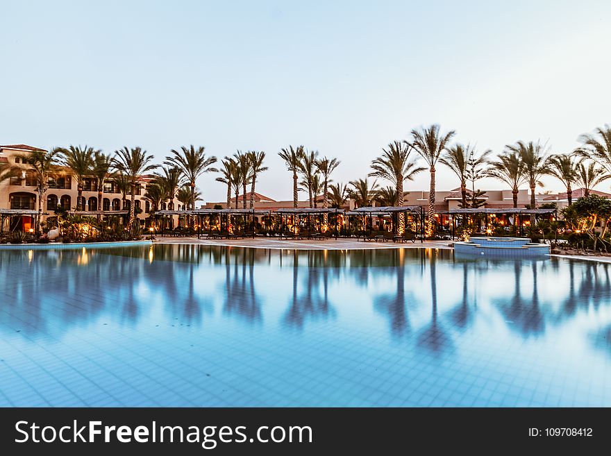 In-ground Swimming Pool Near Palm Trees