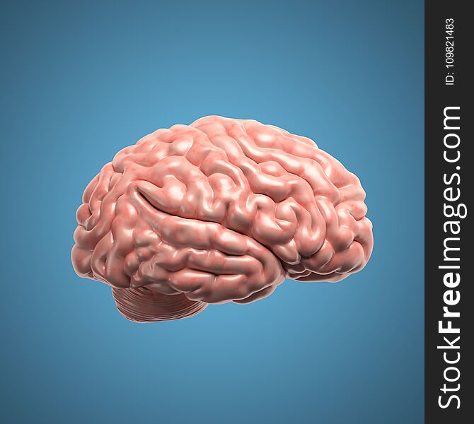 Human brain side view 3d rendering illustration on blue background. Human brain side view 3d rendering illustration on blue background