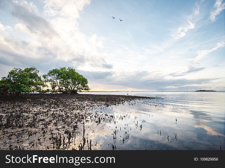 Reflection, Sky, Water, Cloud