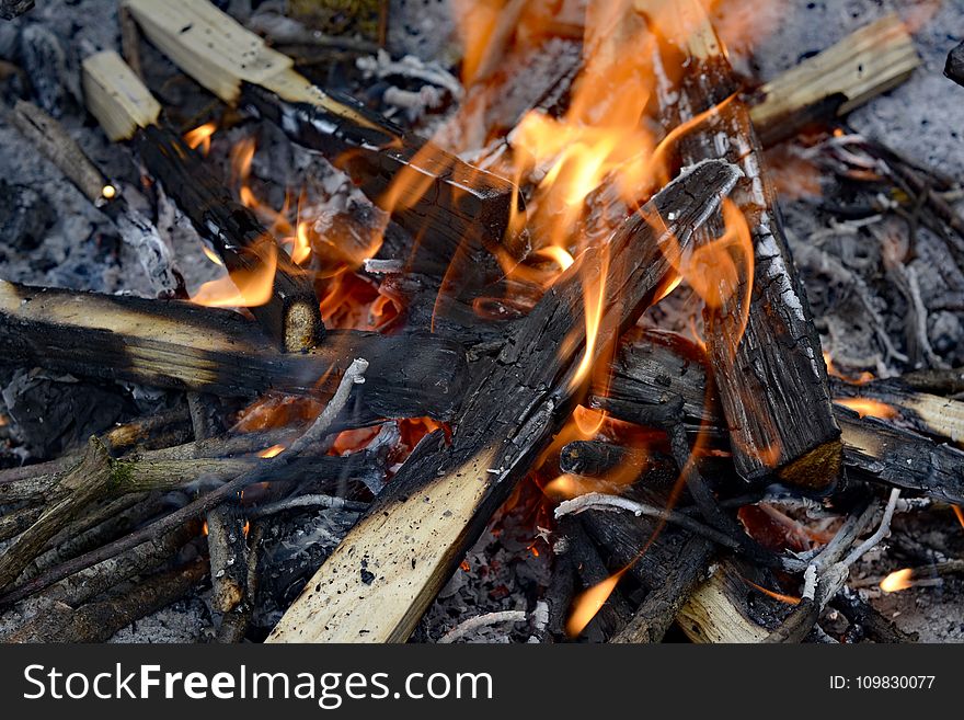 Campfire, Fire, Charcoal, Animal Source Foods