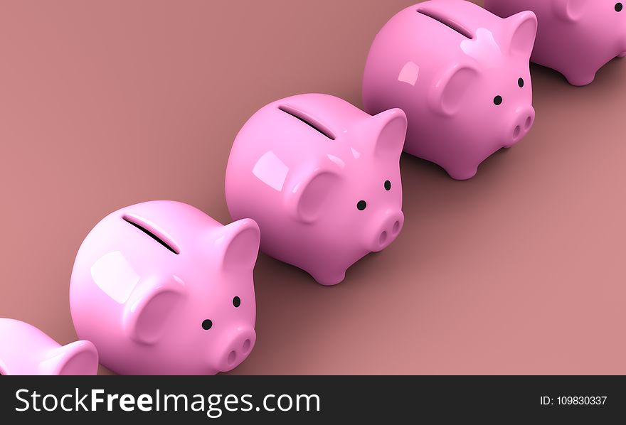 Pink, Nose, Piggy Bank, Snout