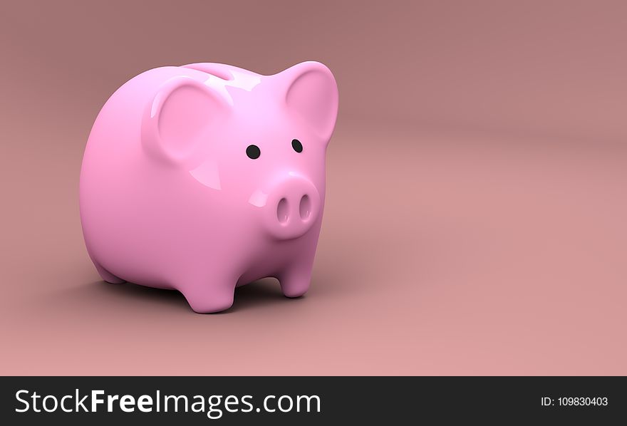 Pink, Piggy Bank, Saving, Snout