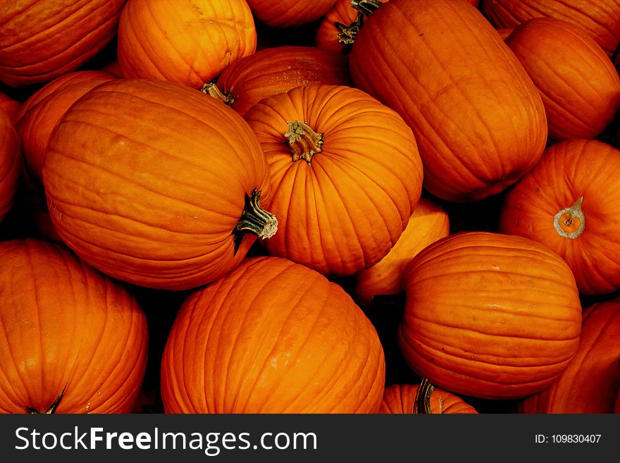 Winter Squash, Local Food, Vegetable, Cucurbita