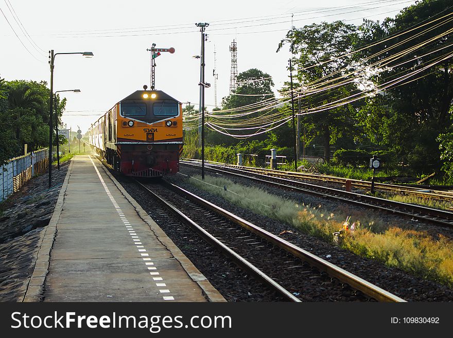 Track, Transport, Rail Transport, Train