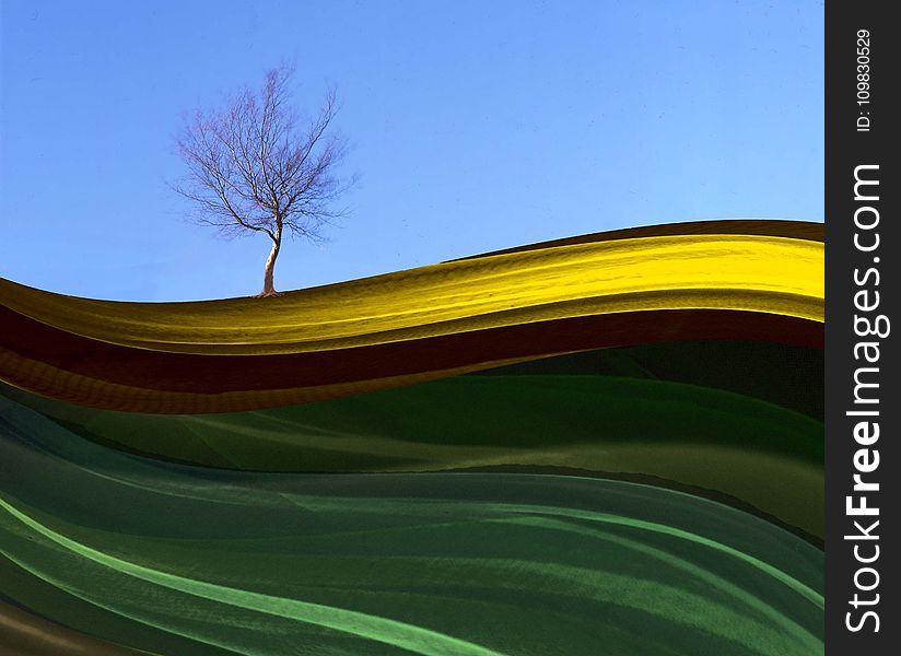 Green, Yellow, Sky, Leaf