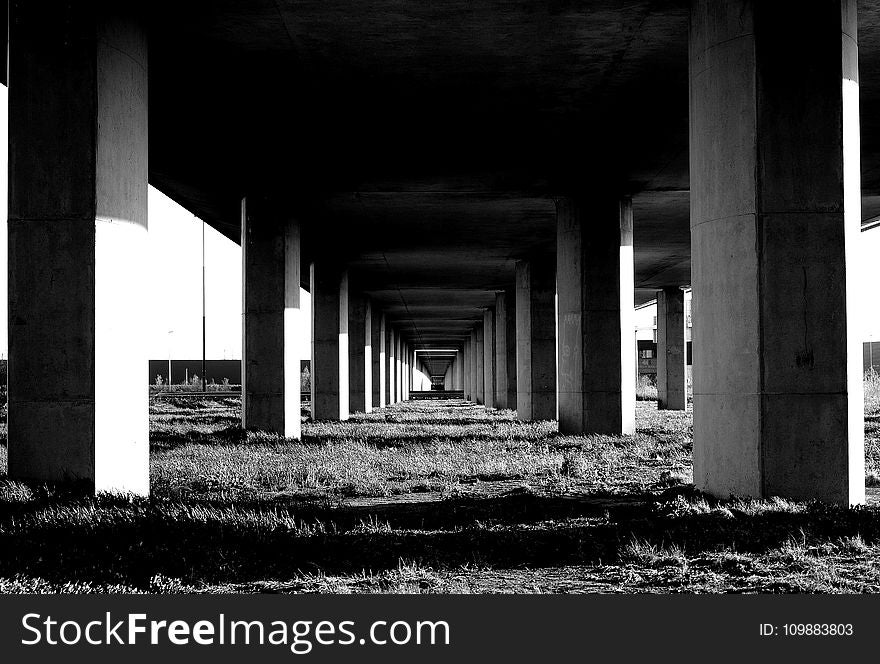 Grayscale Photo Under the Bridge Stand