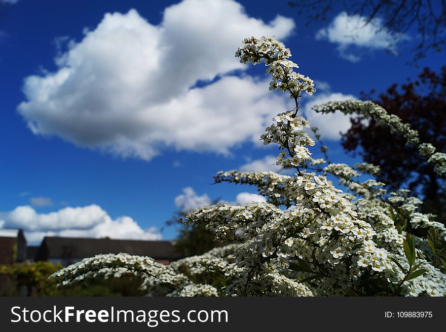 Blue, Sky, Blur