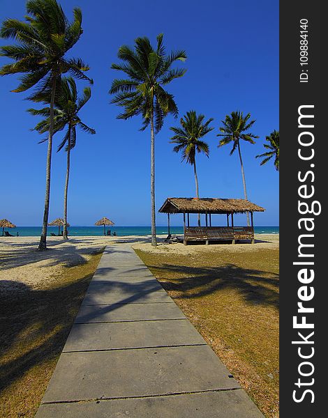 Beach, Chairs, Clouds