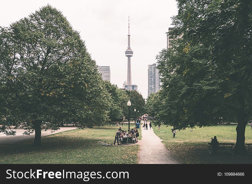 Architecture, Buildings, City