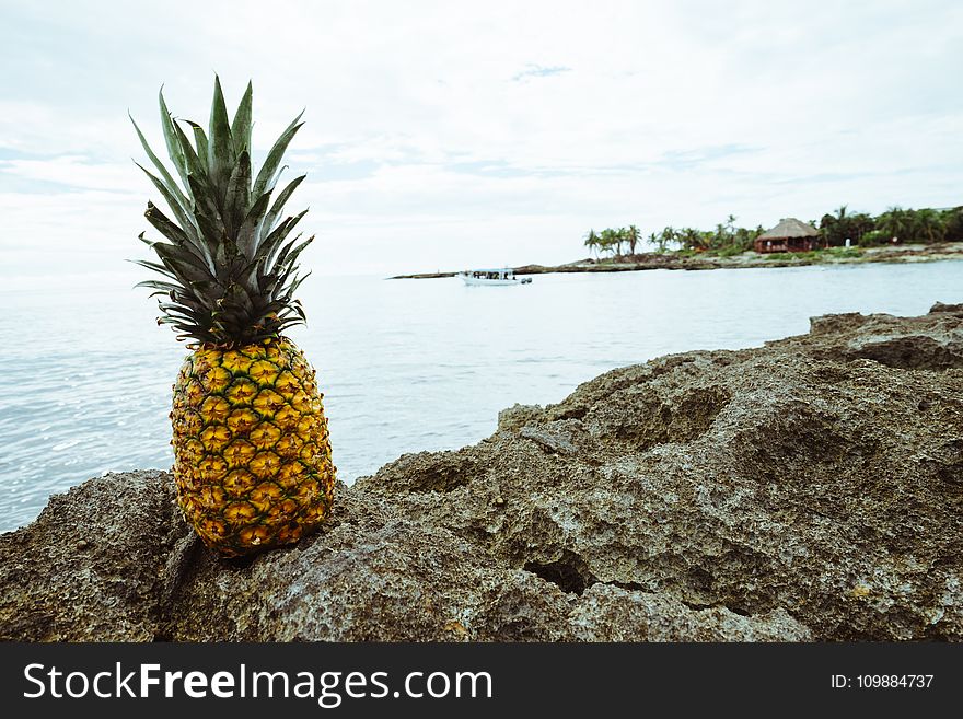 Beach, Boat, Fruit