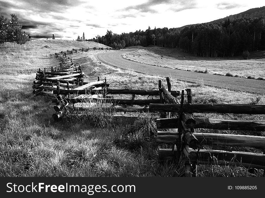 Greyscale Photo Of Wooden Fence Near Road