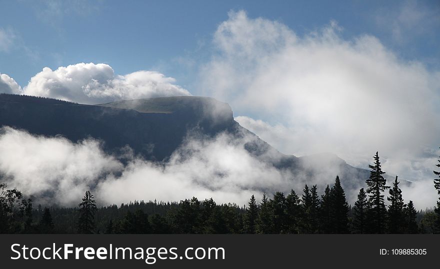 Silhouette Of Trees And Mountain With White Clouds During Daytime