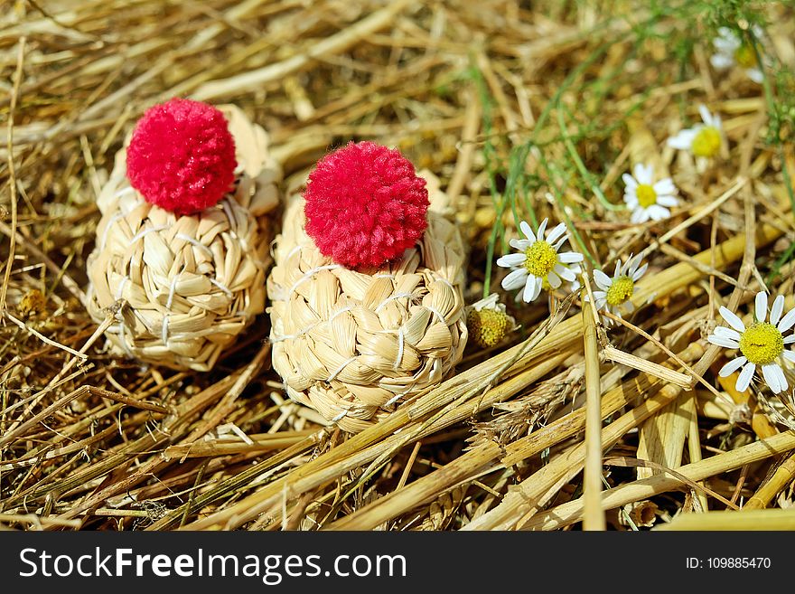 White Babys Breath Flower Beside Brown And Red Round During