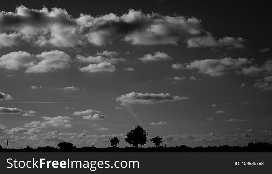 Silhouette Of Trees Under Nimbus Clouds During Daytime