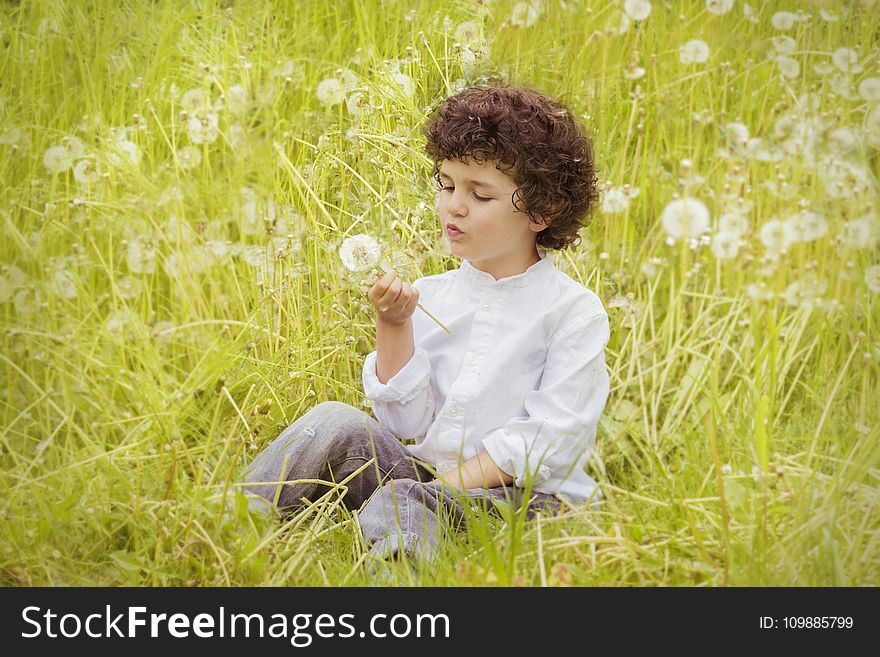 Girl Wearing White Long Sleeve Top Holding White Dandelion Flower during Daytime
