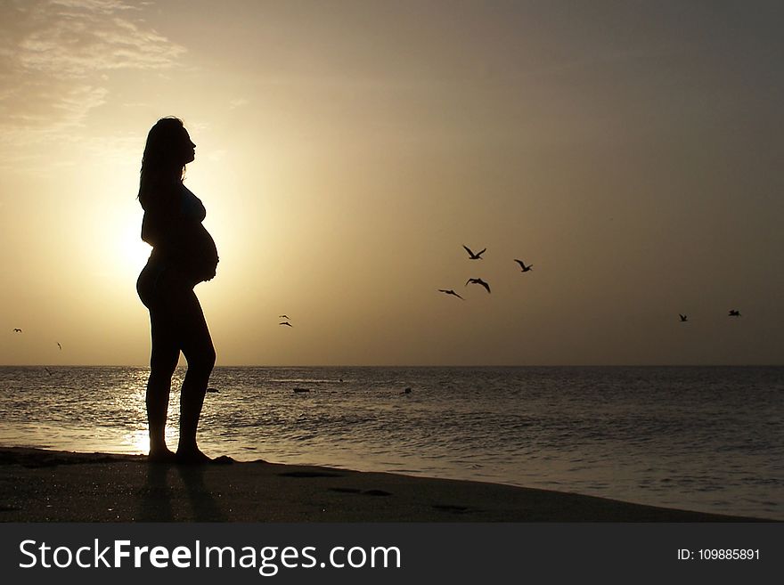 Silhouette of Pregnant Standing on Seashore during Golden Hour