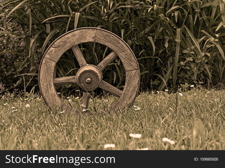 Brown Wooden Wheel on Top of Green Grass