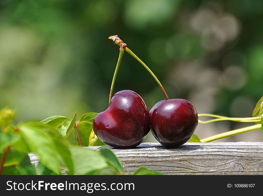 Close Up Photography of a Red Cherry Fruit