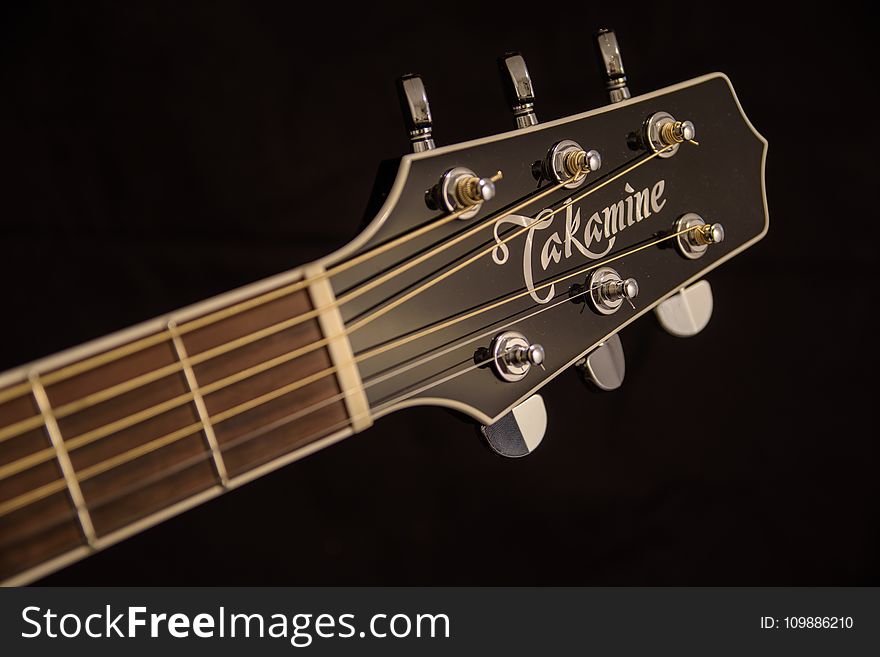 Brown And Black Takamine Guitar Headstock