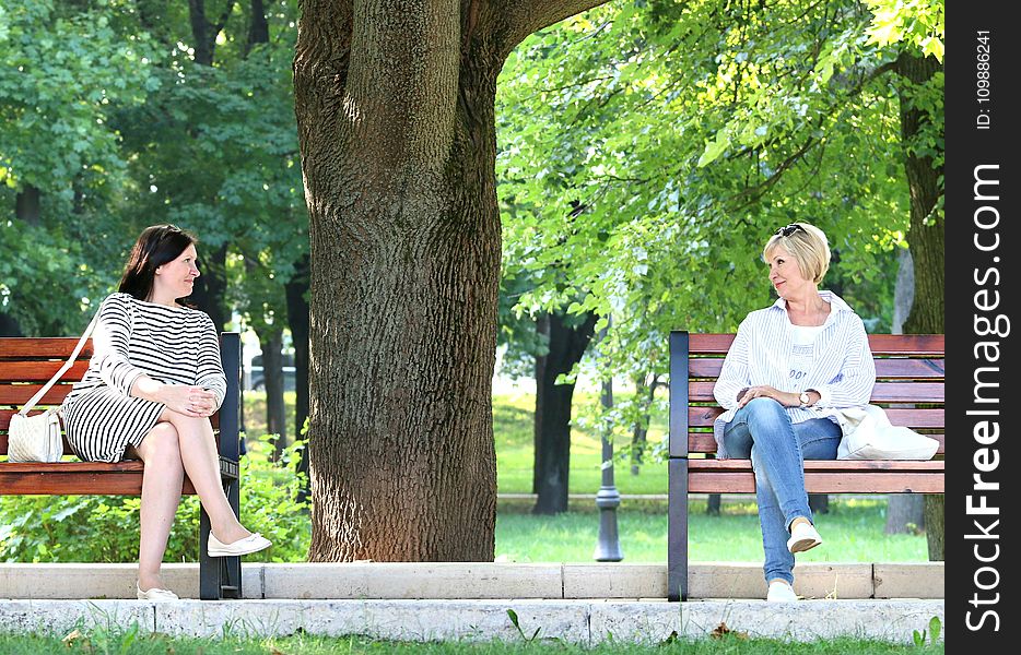 2 Woman Sitting In The Different Bench Chair Near Tree In The Park During Daytime