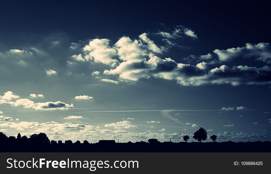 Silhouette Of Trees Under Cloudy Sky