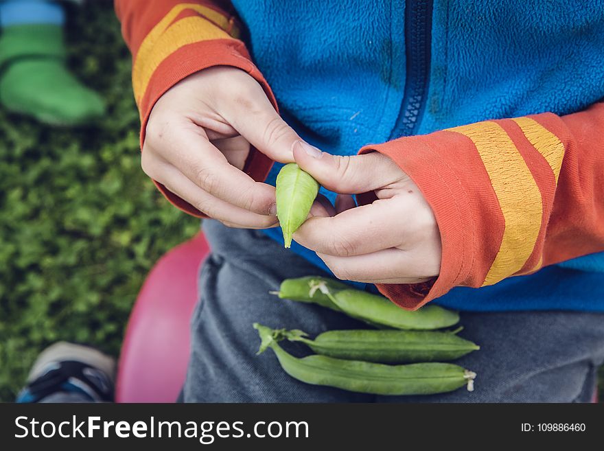 Adult, Beans, Blur