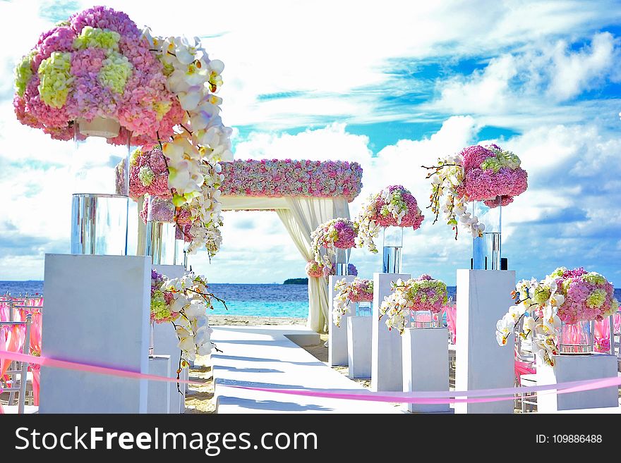 Beach, Wedding, Chairs