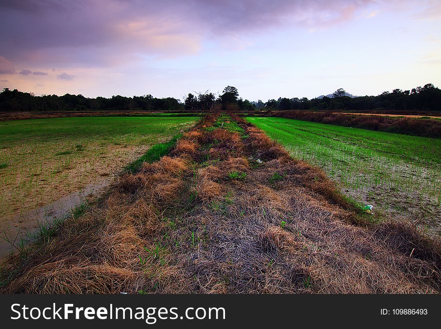 Agriculture, Clouds, Countryside