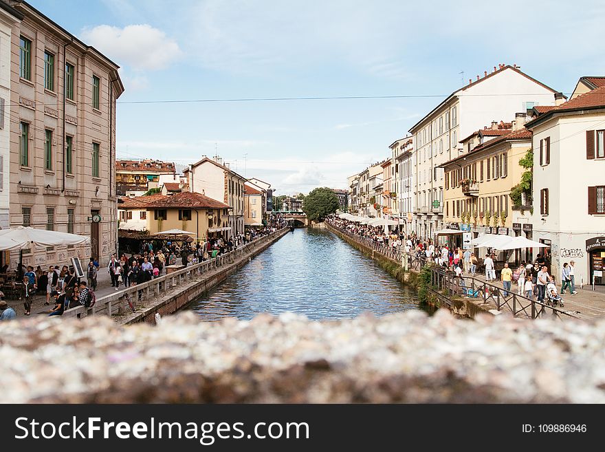 Architecture, Bridge, Buildings