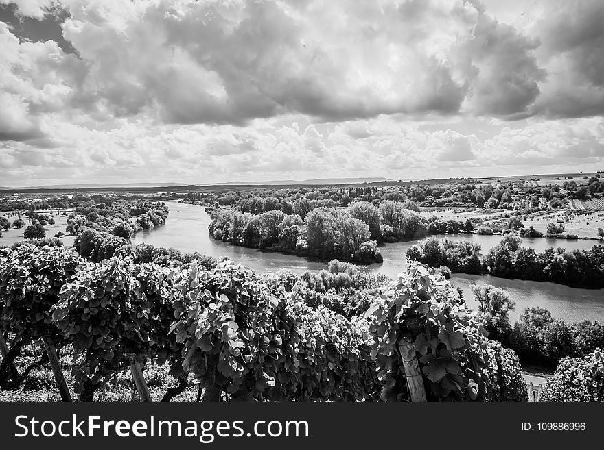 Black-and-white, Clouds, Environment