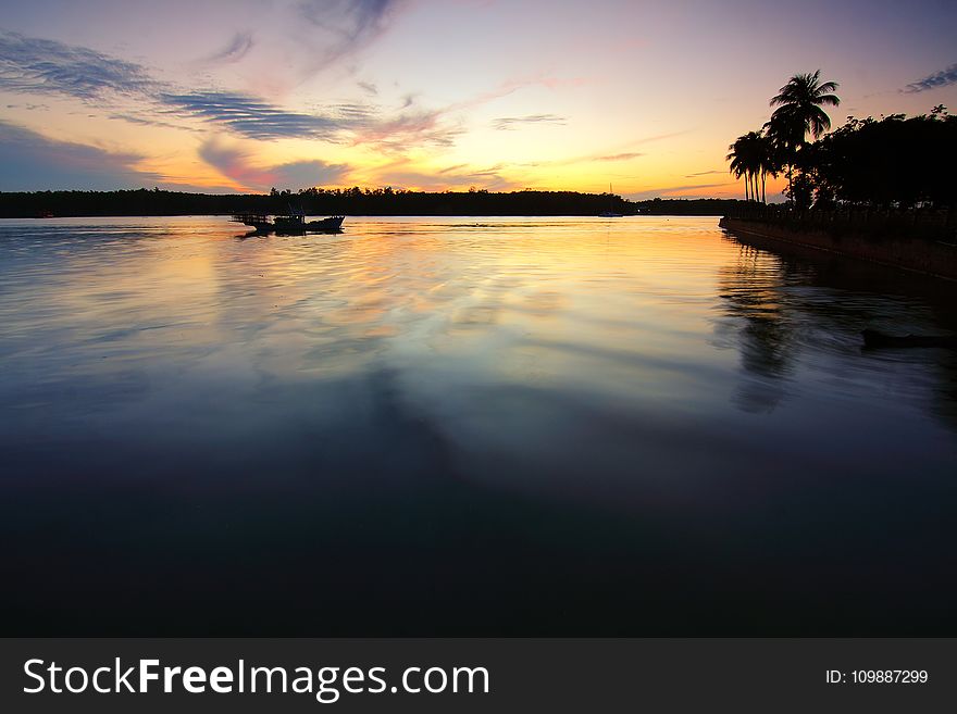 Beach, Coconut, Tree