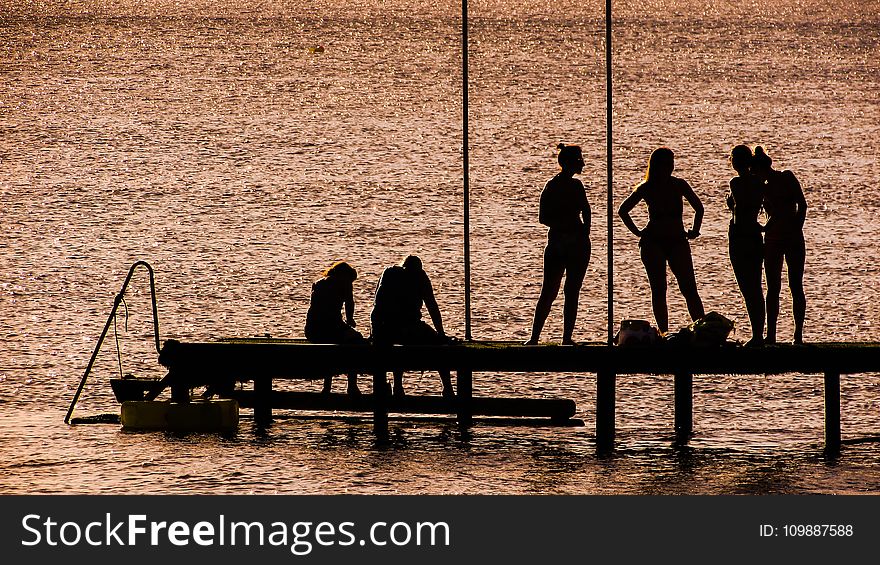 Silhouette of 6 Person on Dock Near the Calm Body of Water