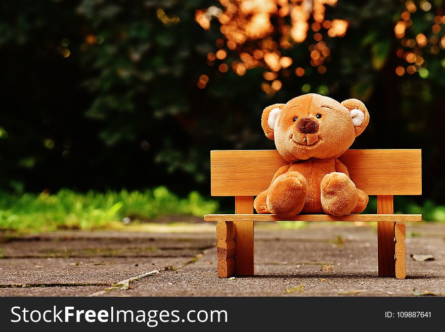 Brown Teddy Bear on Brown Wooden Bench Outside