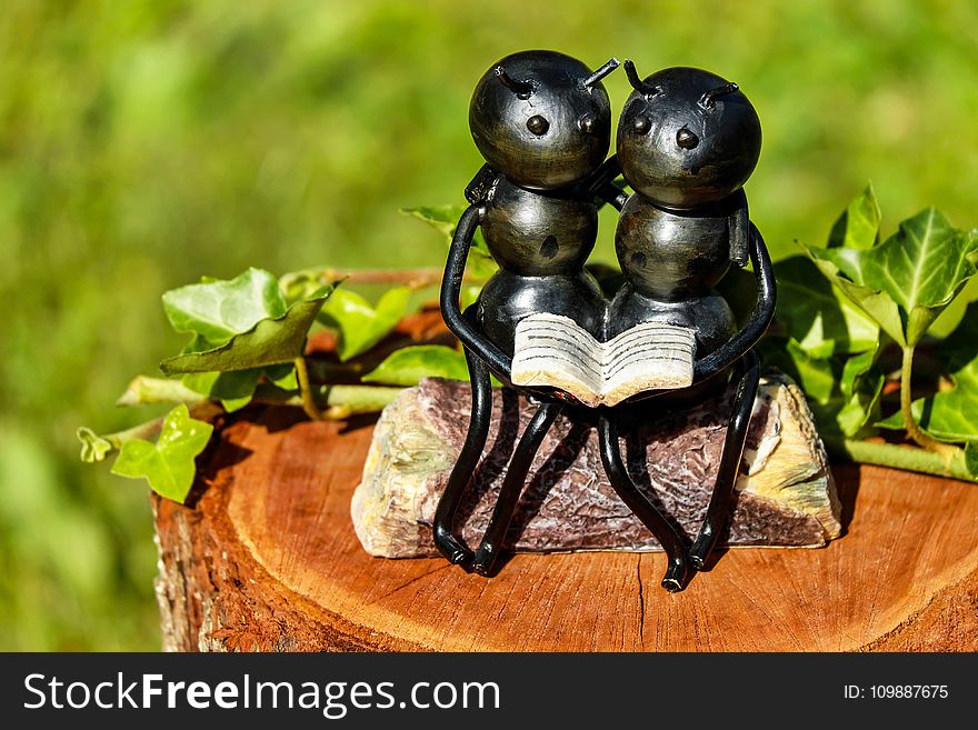 Shallow Focus Photography of Couple Ants Holding Book Figurine
