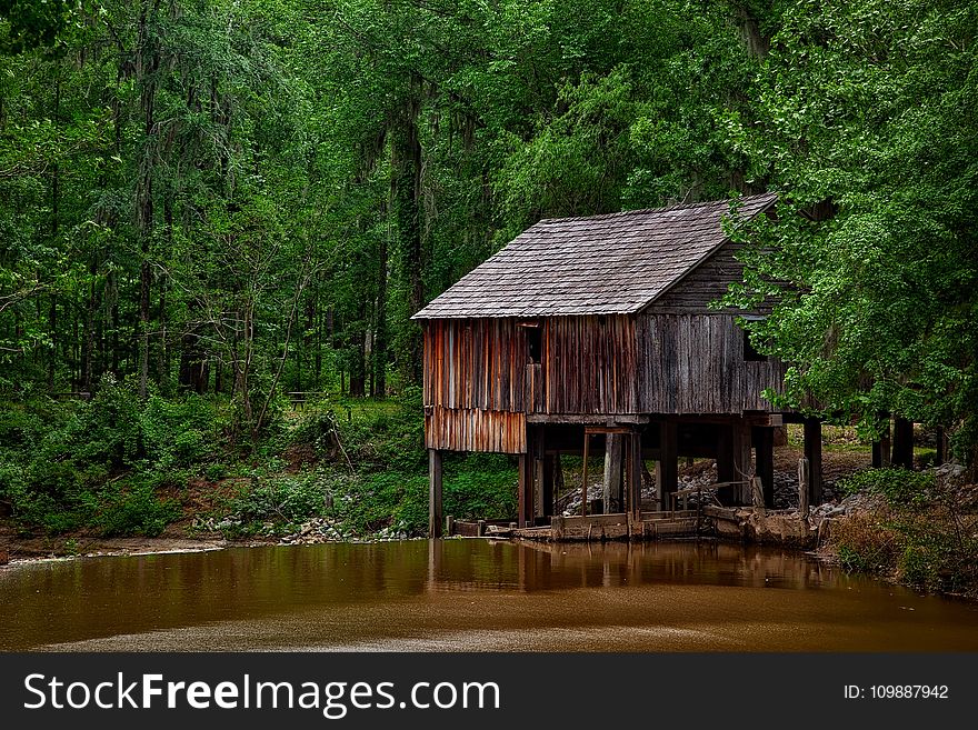 Brown Wooden Shed Surrounded by Trees